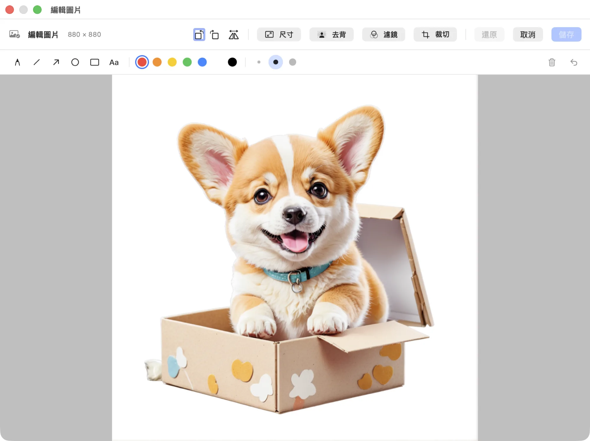 貼貼的圖片編輯器：左側工具、中央畫布、下方濾鏡列