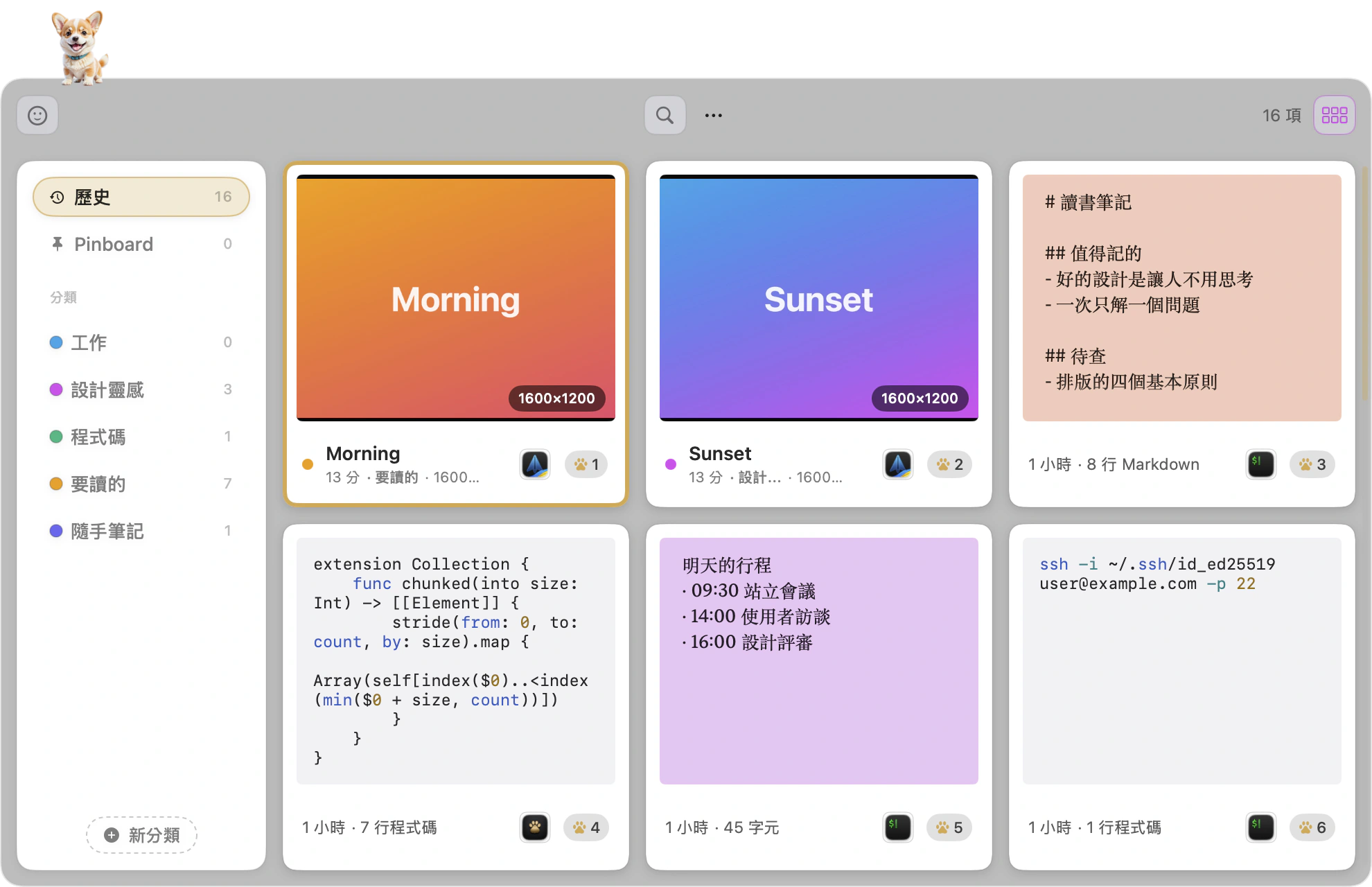 面板上五張卡各是一種型別：程式碼走終端機外觀、連結有預覽圖、圖片是真縮圖、格式文字保留樣式、檔案顯示檔名與內容